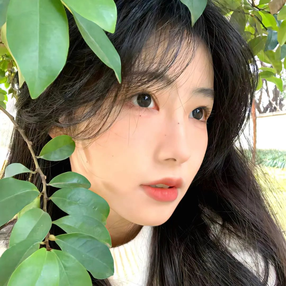 一千零一夜第四季