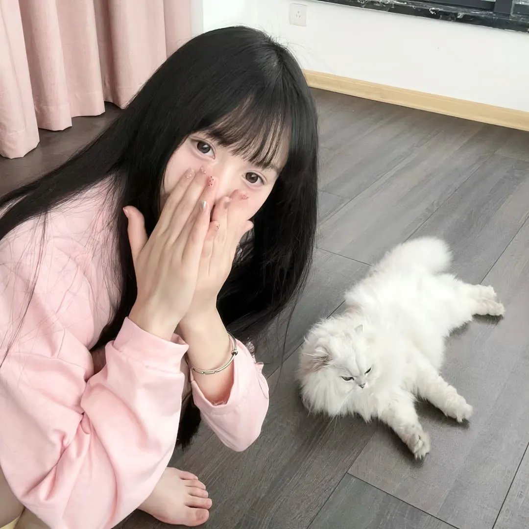 怪趣群鸟